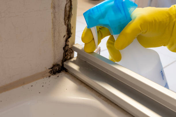 Why You Should Choose Our Mold Remediation Services in Lake Heritage, PA